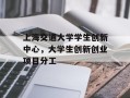 上海交通大学学生创新中心，大学生创新创业项目分工