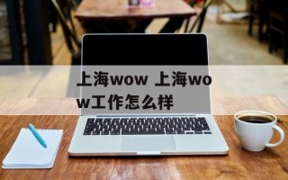 上海wow 上海wow工作怎么样
