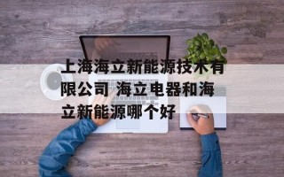 上海海立新能源技术有限公司 海立电器和海立新能源哪个好