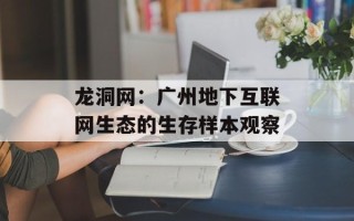 龙洞网：广州地下互联网生态的生存样本观察