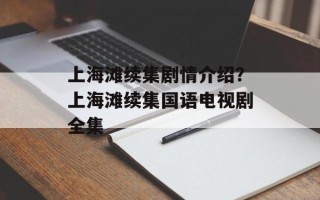 上海滩续集剧情介绍？上海滩续集国语电视剧全集