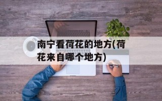 南宁看荷花的地方(荷花来自哪个地方)