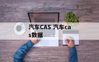 汽车CAS 汽车cas数据