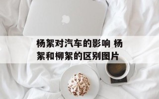 杨絮对汽车的影响 杨絮和柳絮的区别图片