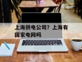 上海供电公司？上海有国家电网吗