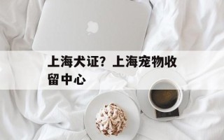 上海犬证？上海宠物收留中心