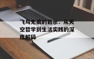 飞鸟无痕的启示：从天空哲学到生活实践的深度解码
