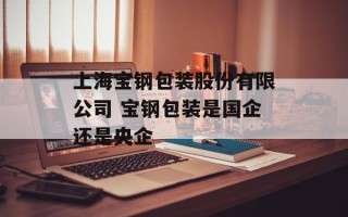 上海宝钢包装股份有限公司 宝钢包装是国企还是央企