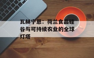 瓦赫宁恩：荷兰食品硅谷与可持续农业的全球灯塔