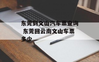 东莞到文山汽车票查询 东莞回云南文山车票多少
