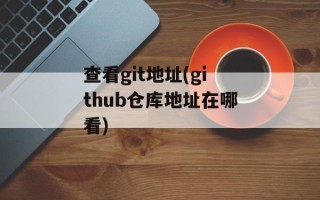 查看git地址(github仓库地址在哪看)
