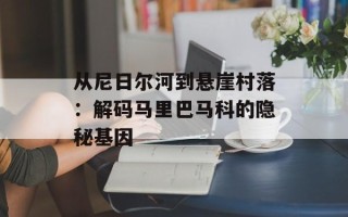 从尼日尔河到悬崖村落：解码马里巴马科的隐秘基因