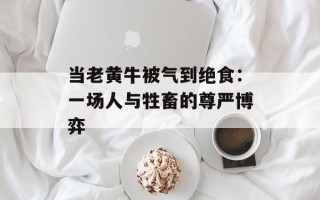 当老黄牛被气到绝食：一场人与牲畜的尊严博弈