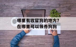 哪里有收留狗的地方？在哪里可以领养狗狗