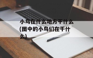 小鸟在什么地方干什么(图中的小鸟们在干什么)