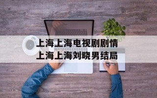 上海上海电视剧剧情 上海上海刘晓男结局