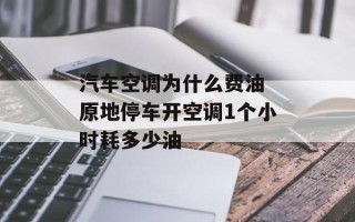 汽车空调为什么费油 原地停车开空调1个小时耗多少油