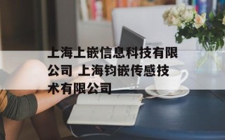 上海上嵌信息科技有限公司 上海钧嵌传感技术有限公司