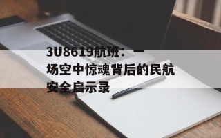 3U8619航班：一场空中惊魂背后的民航安全启示录
