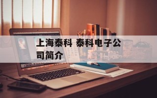 上海泰科 泰科电子公司简介