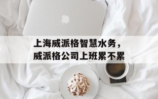 上海威派格智慧水务，威派格公司上班累不累