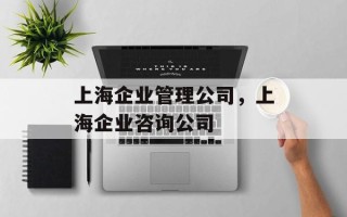 上海企业管理公司，上海企业咨询公司