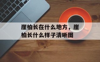 崖柏长在什么地方，崖柏长什么样子清晰图