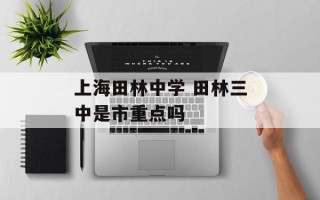 上海田林中学 田林三中是市重点吗