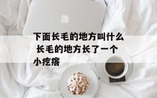 下面长毛的地方叫什么 长毛的地方长了一个小疙瘩