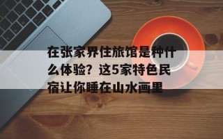 在张家界住旅馆是种什么体验？这5家特色民宿让你睡在山水画里