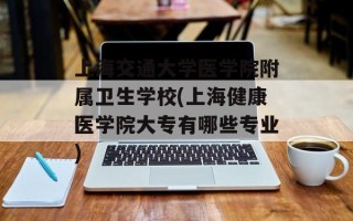 上海交通大学医学院附属卫生学校(上海健康医学院大专有哪些专业)