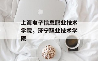 上海电子信息职业技术学院，济宁职业技术学院
