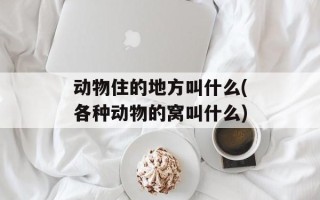 动物住的地方叫什么(各种动物的窝叫什么)