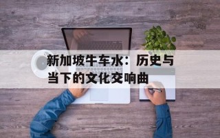 新加坡牛车水：历史与当下的文化交响曲
