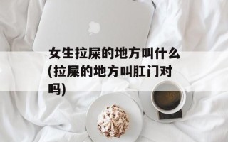 女生拉屎的地方叫什么(拉屎的地方叫肛门对吗)