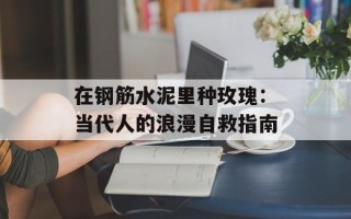 在钢筋水泥里种玫瑰：当代人的浪漫自救指南
