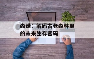森诺：解码古老森林里的未来生存密码