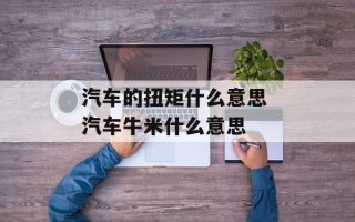 汽车的扭矩什么意思 汽车牛米什么意思