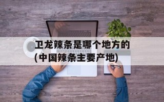 卫龙辣条是哪个地方的(中国辣条主要产地)