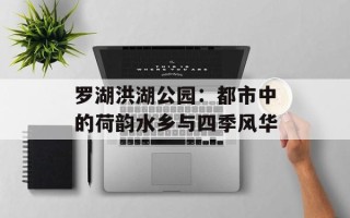 罗湖洪湖公园：都市中的荷韵水乡与四季风华