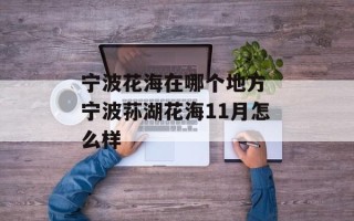 宁波花海在哪个地方 宁波荪湖花海11月怎么样