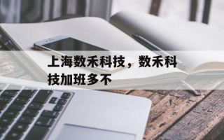 上海数禾科技，数禾科技加班多不