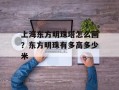 上海东方明珠塔怎么画？东方明珠有多高多少米