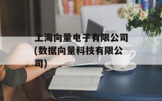 上海向量电子有限公司(数据向量科技有限公司)
