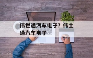 伟世通汽车电子？伟土通汽车电子