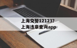 上海交警12123？上海违章查询app