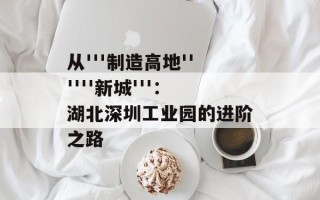 从'''制造高地''''''新城'''：湖北深圳工业园的进阶之路