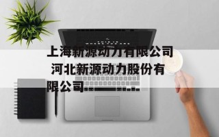 上海新源动力有限公司 河北新源动力股份有限公司