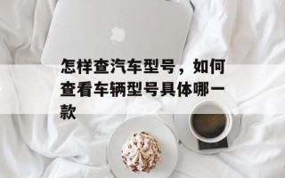 怎样查汽车型号，如何查看车辆型号具体哪一款