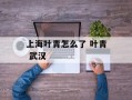 上海叶青怎么了 叶青 武汉